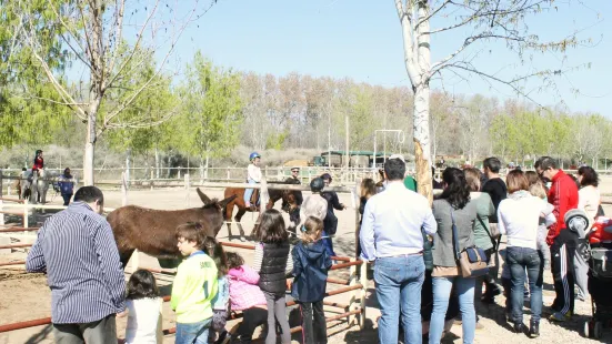 Hipica Parque del Agua