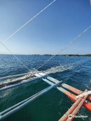 Thresher Shark Divers