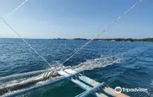 長尾鯊浮潛