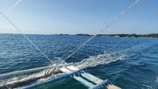 Thresher Shark Divers