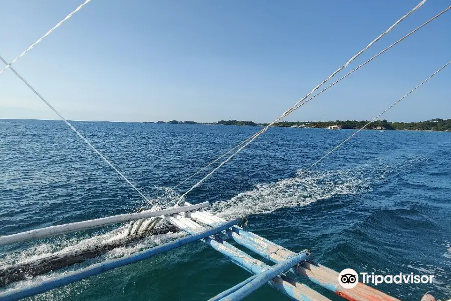 Thresher Shark Divers