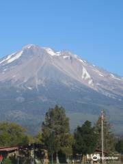 Shasta-Trinity National Forest