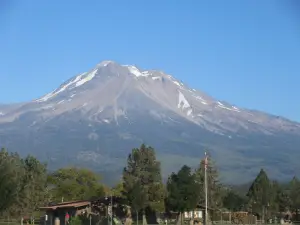 Shasta-Trinity National Forest