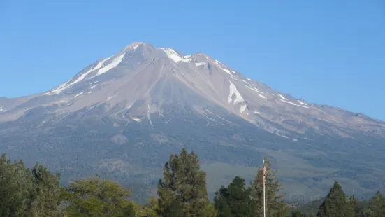 Shasta-Trinity National Forest