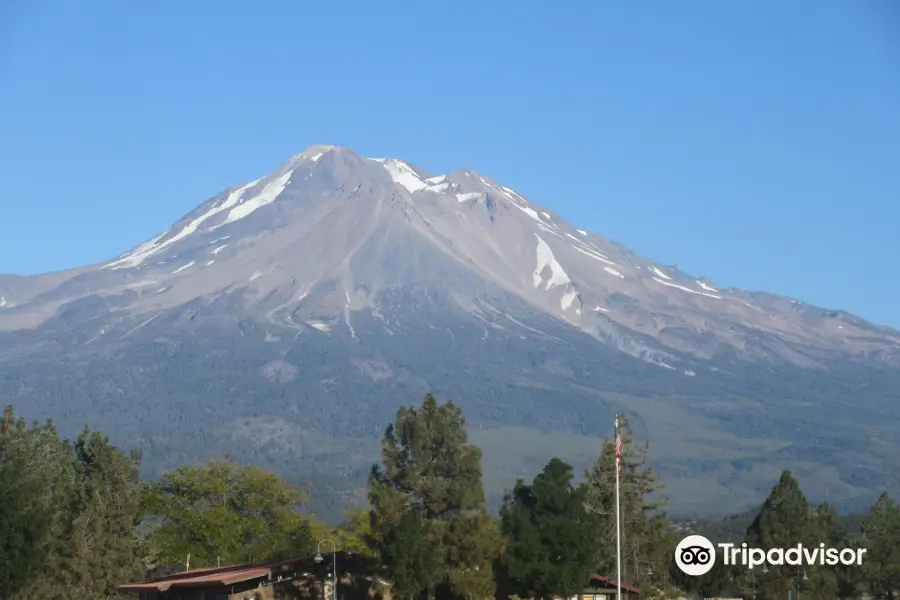 Forêt nationale de Shasta-Trinity