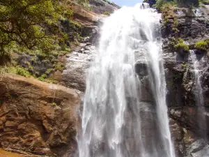 Agaya Gangai Waterfalls
