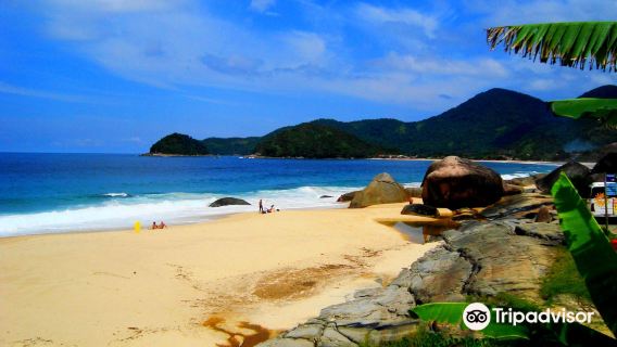 Praia do Cepilho