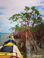 Bonefish Pond National Park