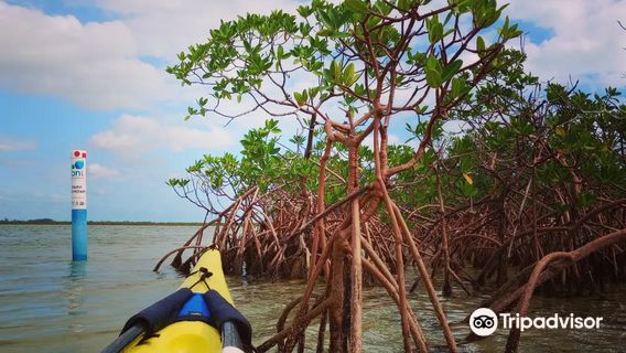 Bonefish Pond National Park