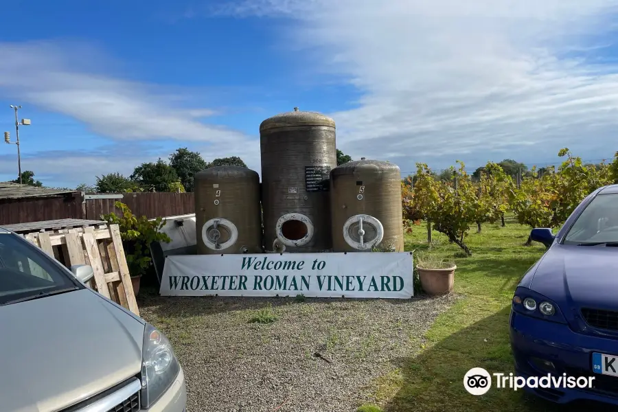 Wroxeter Roman Vineyard