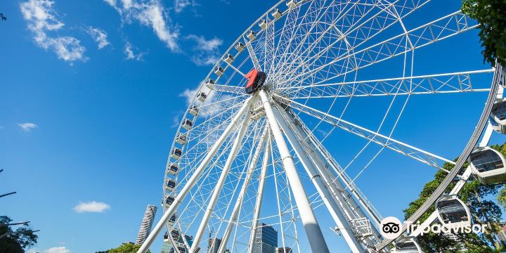 The Wheel of Brisbane