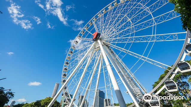 The Wheel of Brisbane