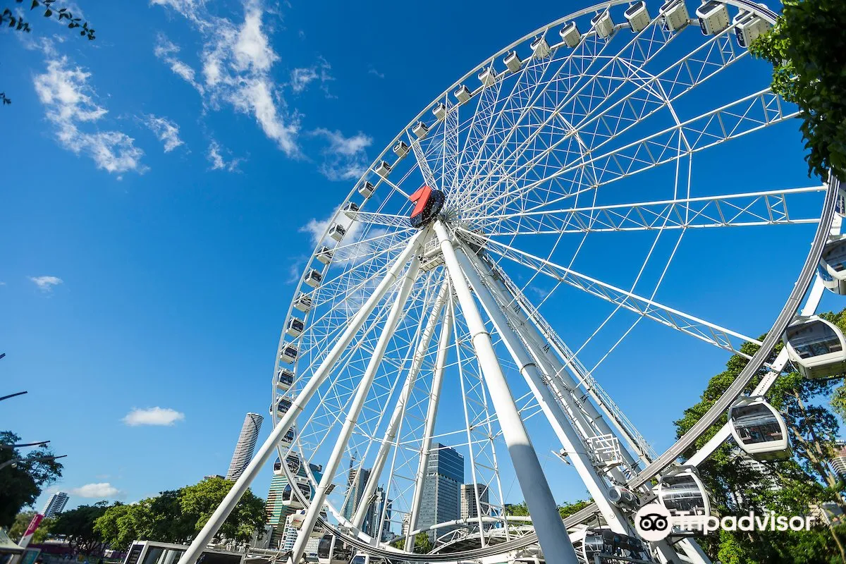 The Wheel of Brisbane