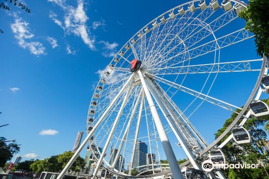 The Wheel of Brisbane