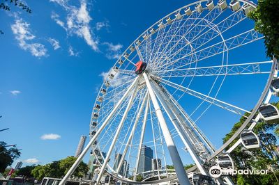 The Wheel of Brisbane