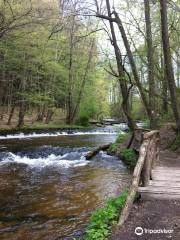 The Szumy Trial Tanwia River