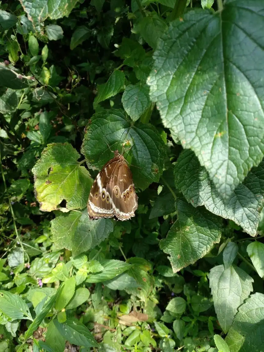 Отели рядом с достопримечательностью «Mata da Camara»