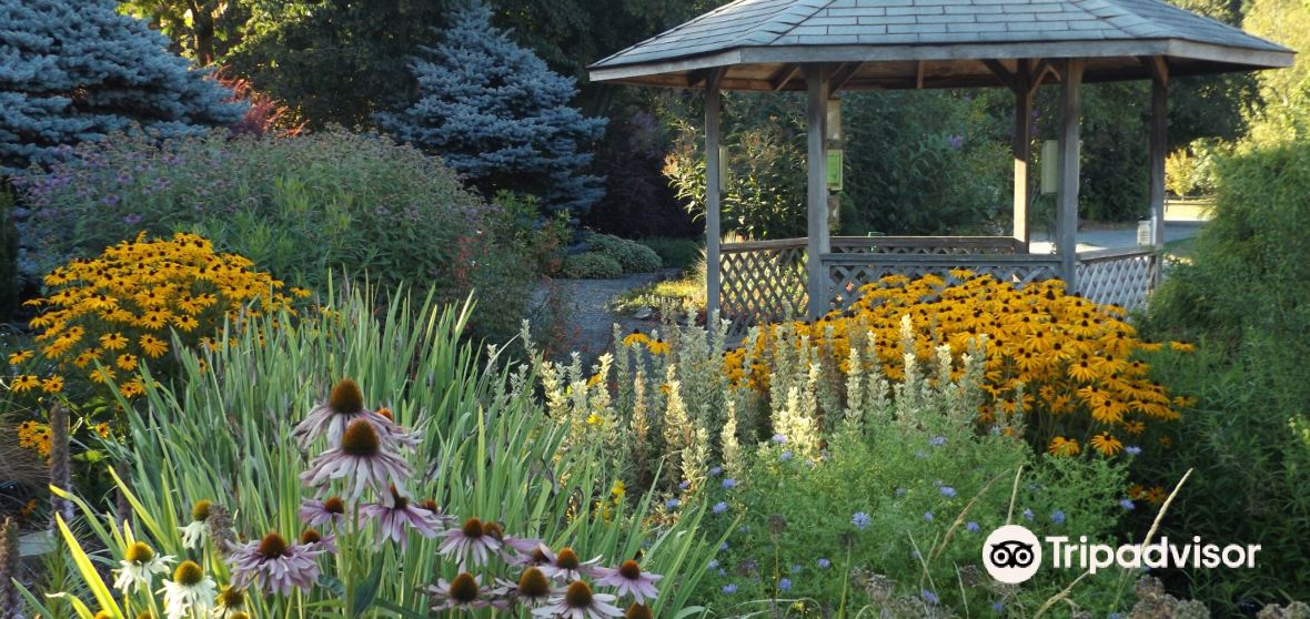 Things to Do in Brush Prairie in 2024 Top Attractions, Local Food