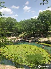 Cenote Xlacah