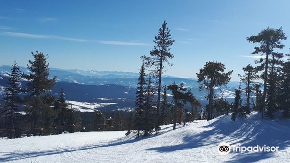 Baldy Mountain Resort