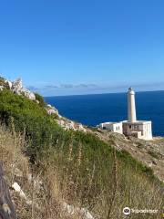 Lighthouse Punta Palascìa