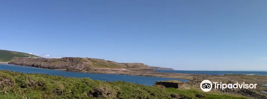 Worms Head