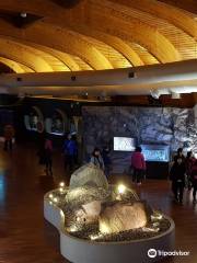 蔚山岩刻畫博物館