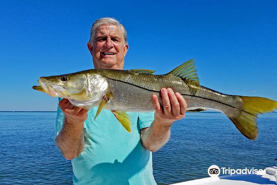 Gulf Coast Limited Fishing Charters