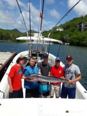 Ocean Surfari  Fishing Charters- British Virgin Islands