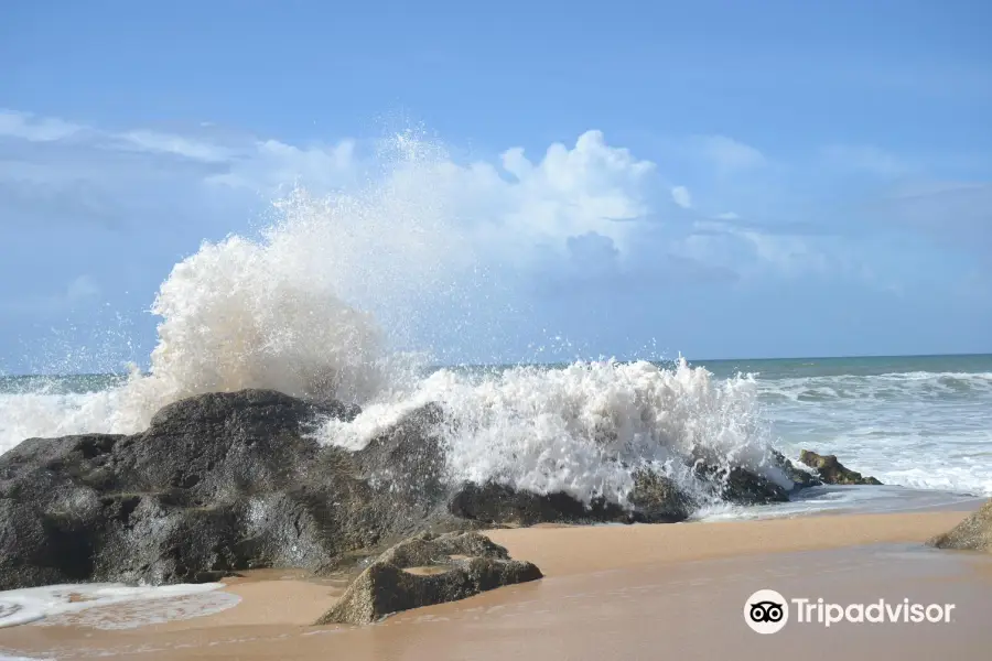 Praia dos Salgados