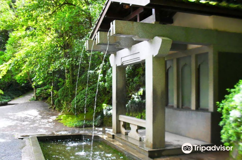 Grande xadrez. - Picture of Xadrez Gigante Recebe Melhorias, Pocos de Caldas  - Tripadvisor