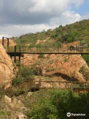 Monkey Sanctuary, Hartbeespoort in South Africa