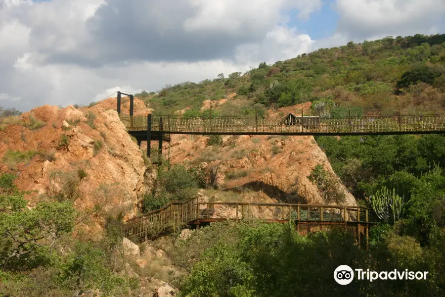 Monkey Sanctuary, Hartbeespoort in South Africa