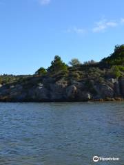 Etang Du Doul Et De La Saline