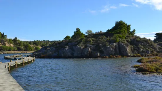 Etang Du Doul Et De La Saline