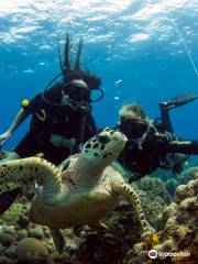 CozuDive Diving & Snorkeling