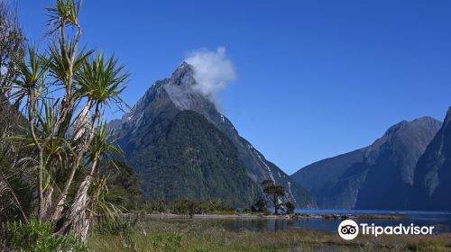 Milford Foreshore Walk