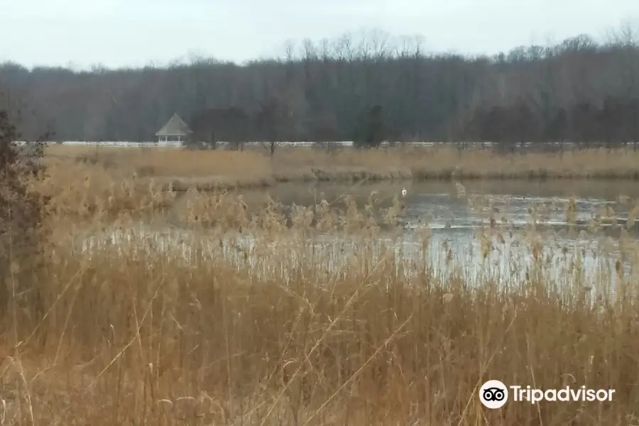 Striebel Pond