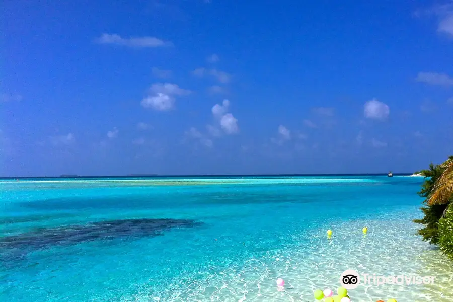 Dive Center Isles Okinawa