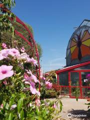 Butterfly Gardens