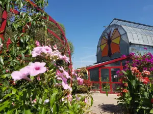 Jardins des Papillons