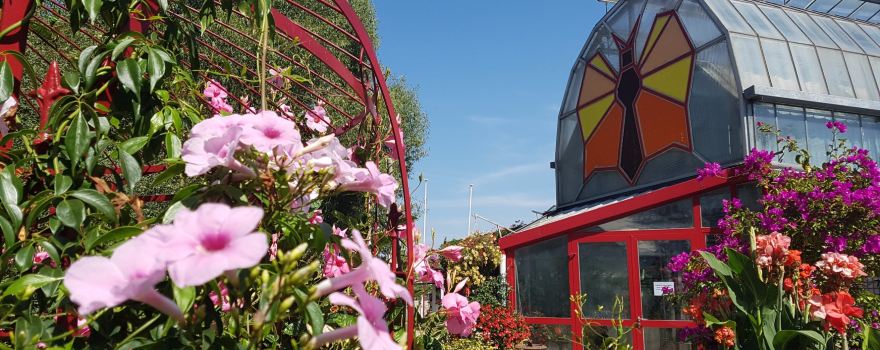 Butterfly Gardens