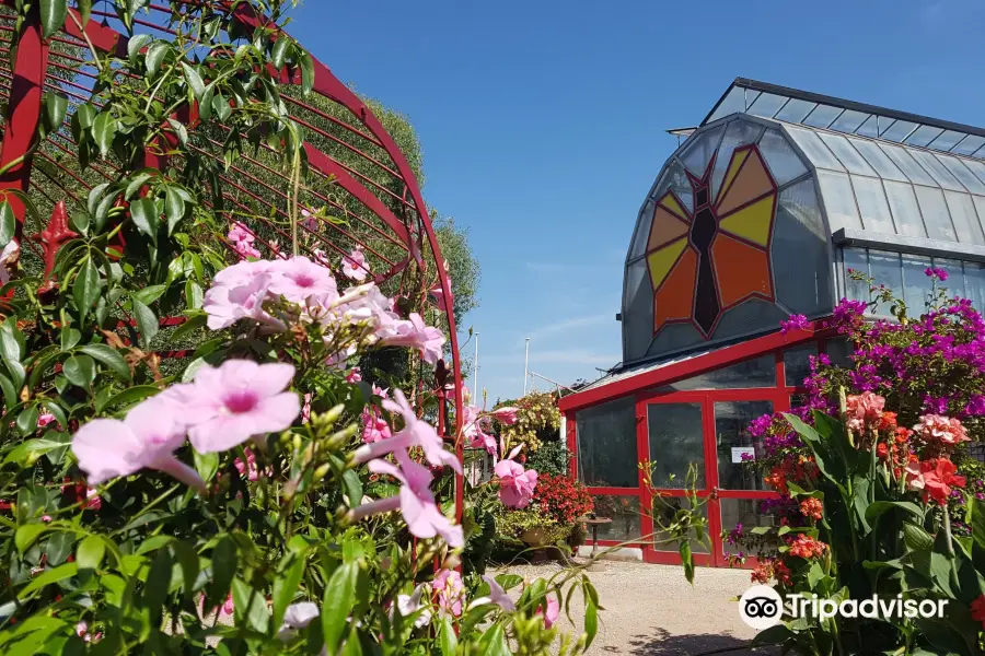 Butterfly Gardens