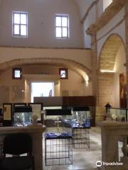 Museu Diocesà dArt Sacre