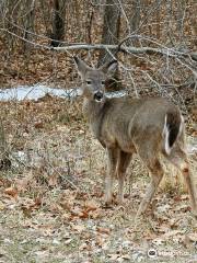 Eldon Hazlet State Park