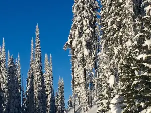 Sovereign Lake Nordic Club