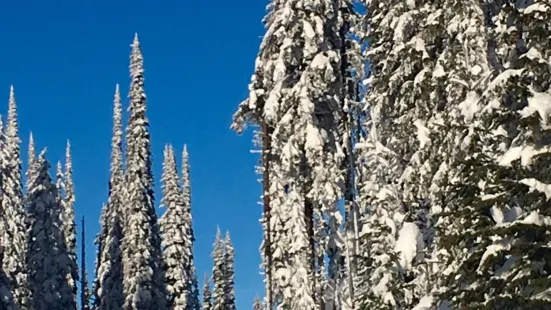 Sovereign Lake Nordic Club