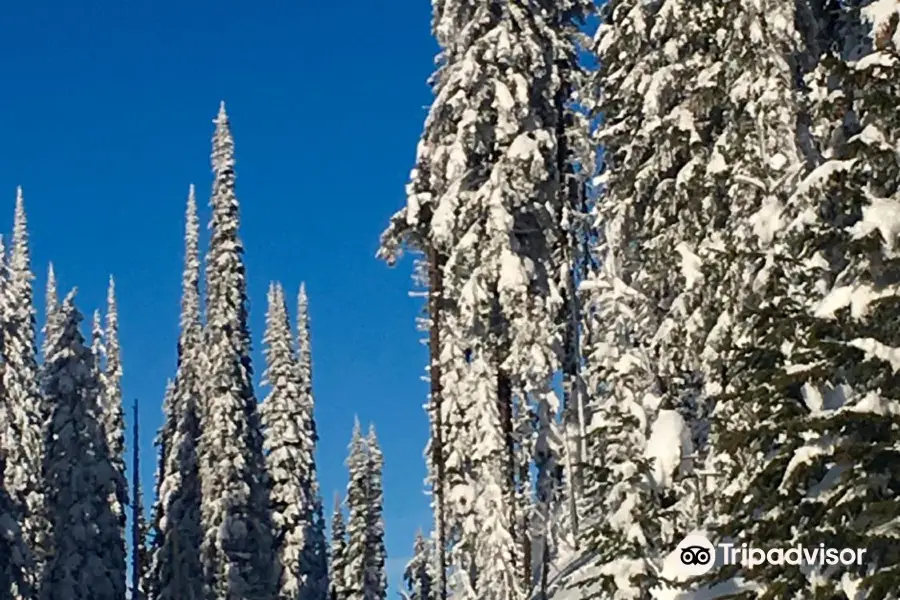 Sovereign Lake Nordic Club