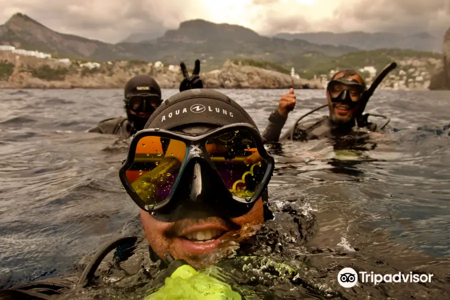 Soller Divers