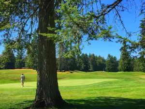 Pumpkin Ridge Golf Club